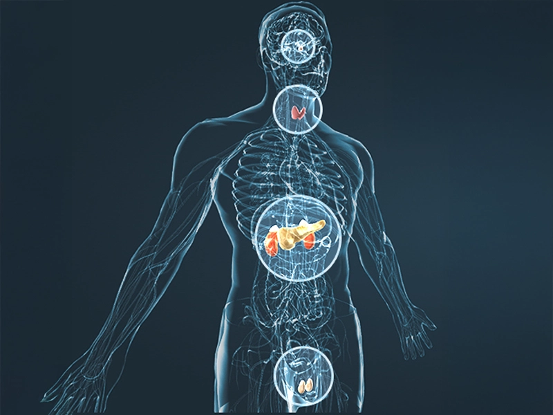 JellyFil supplement – male health improvement